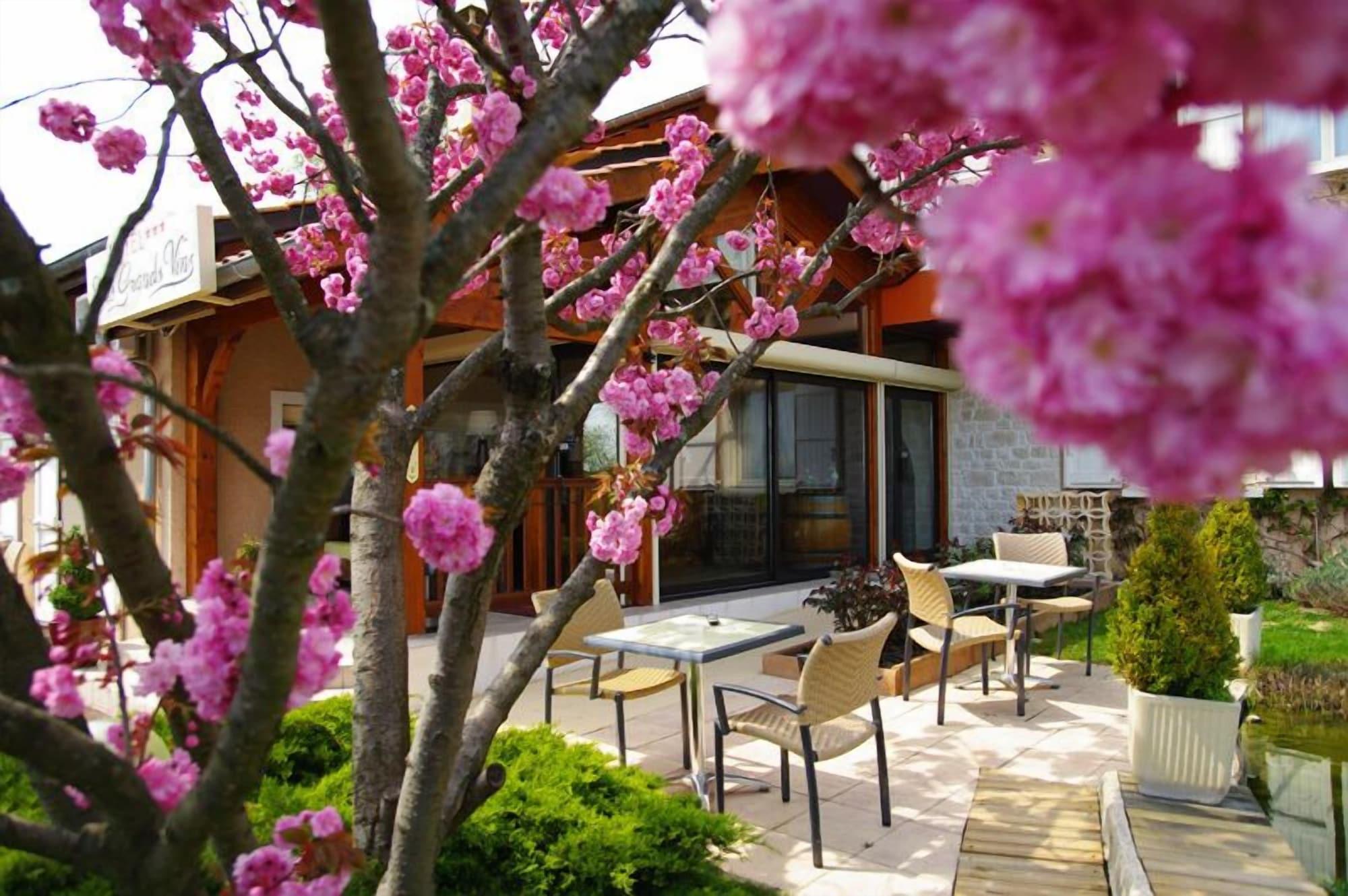 Logis Hotel Des Grands Vins 플루리 외부 사진