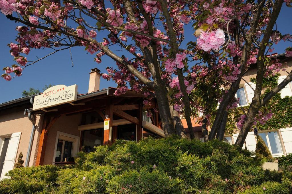 Logis Hotel Des Grands Vins 플루리 외부 사진